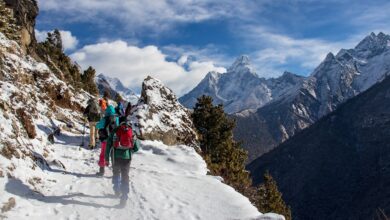 хималаите непал