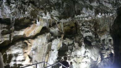 Добростански бисер пещера