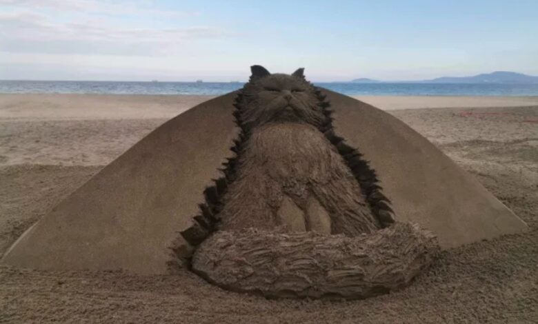 котка плаж бурга