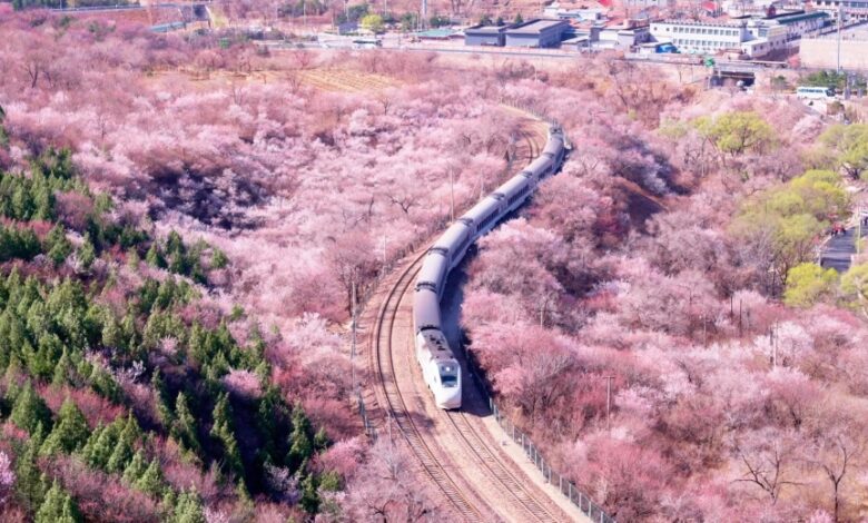 влак пролетта китай