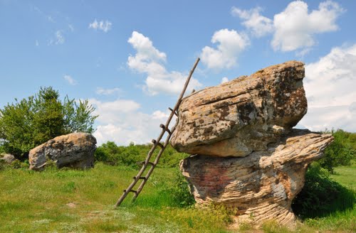 добровански гъби