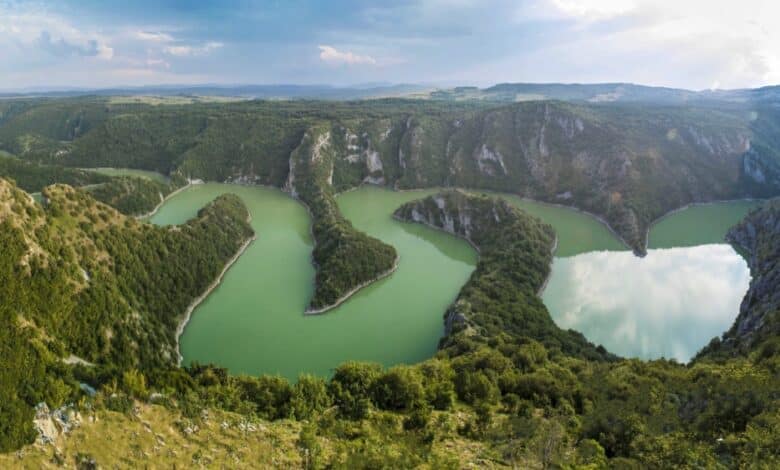 сеница сърбия